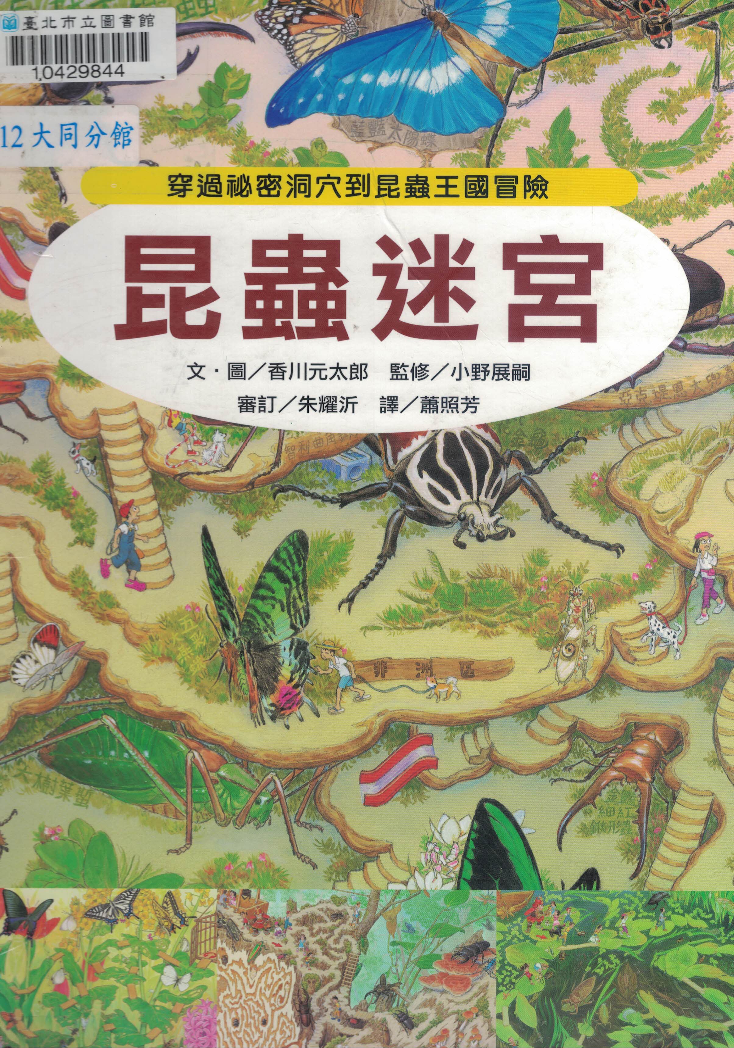 昆蟲迷宮:穿過祕密洞穴到昆蟲王國冒險